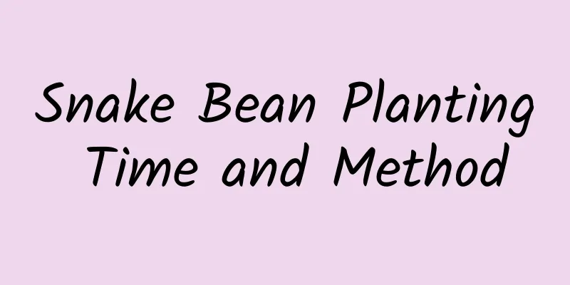 Snake Bean Planting Time and Method
