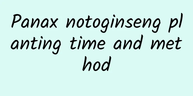 Panax notoginseng planting time and method