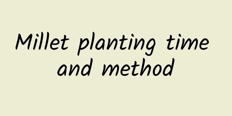 Millet planting time and method