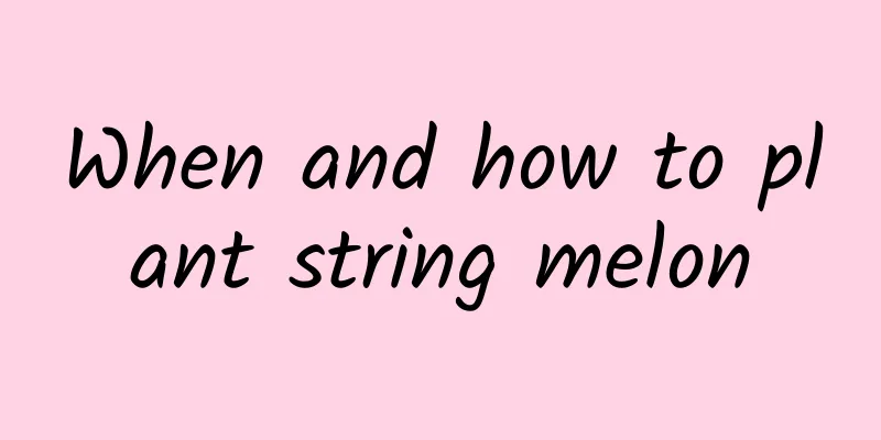 When and how to plant string melon