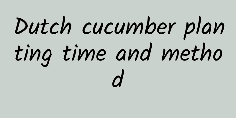 Dutch cucumber planting time and method