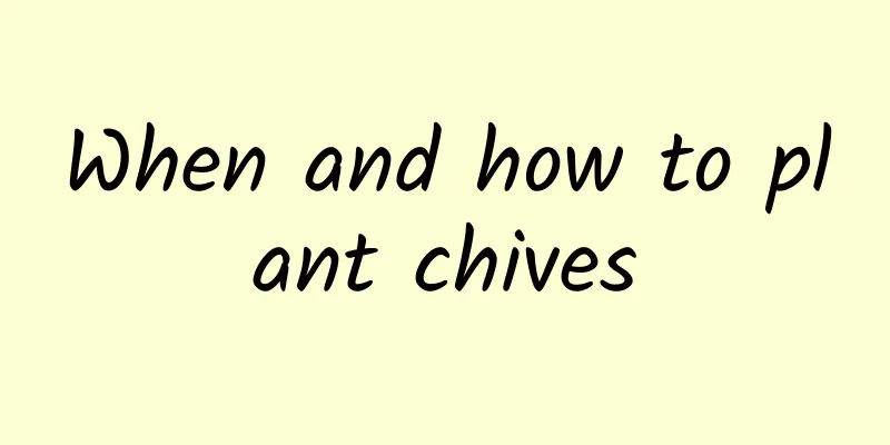 When and how to plant chives