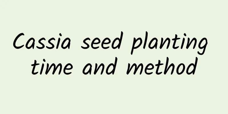 Cassia seed planting time and method