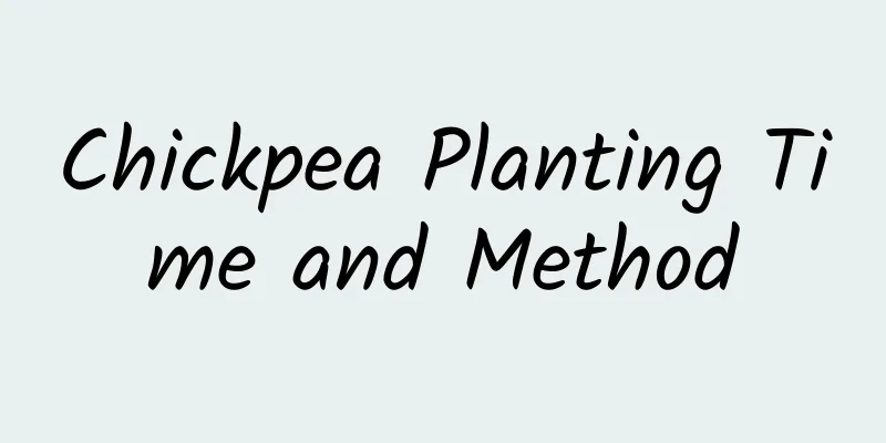 Chickpea Planting Time and Method
