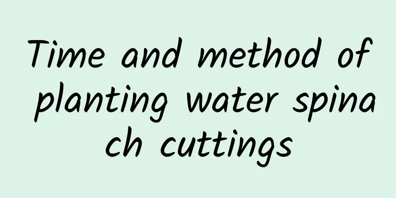 Time and method of planting water spinach cuttings