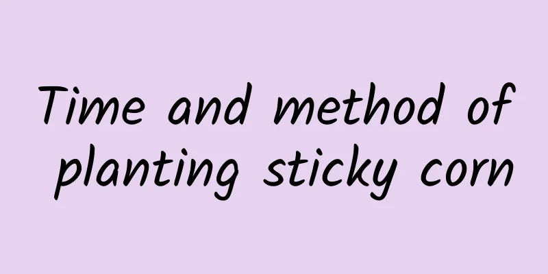 Time and method of planting sticky corn