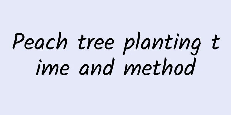 Peach tree planting time and method
