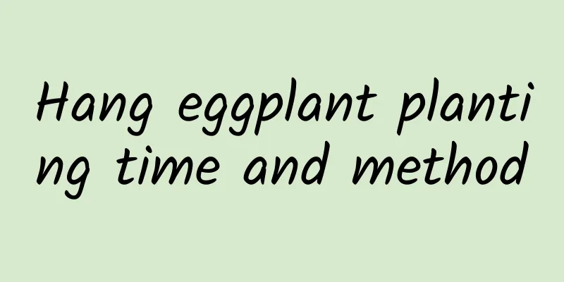 Hang eggplant planting time and method