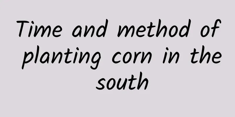 Time and method of planting corn in the south