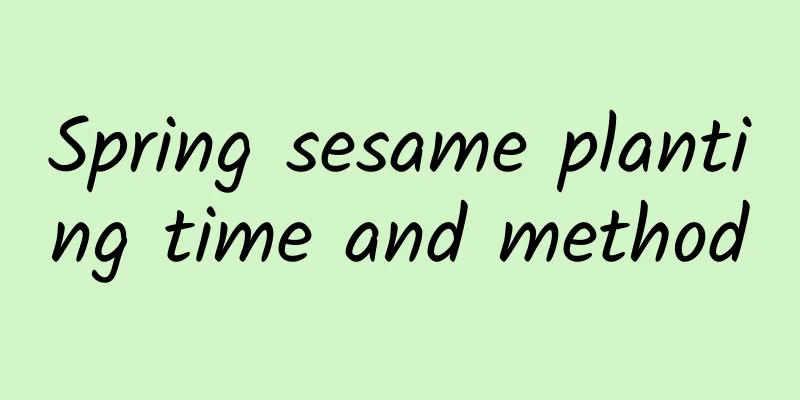 Spring sesame planting time and method