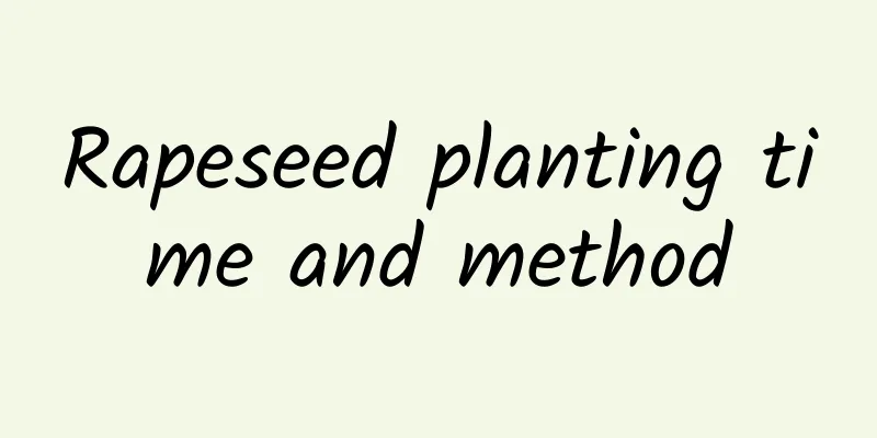 Rapeseed planting time and method