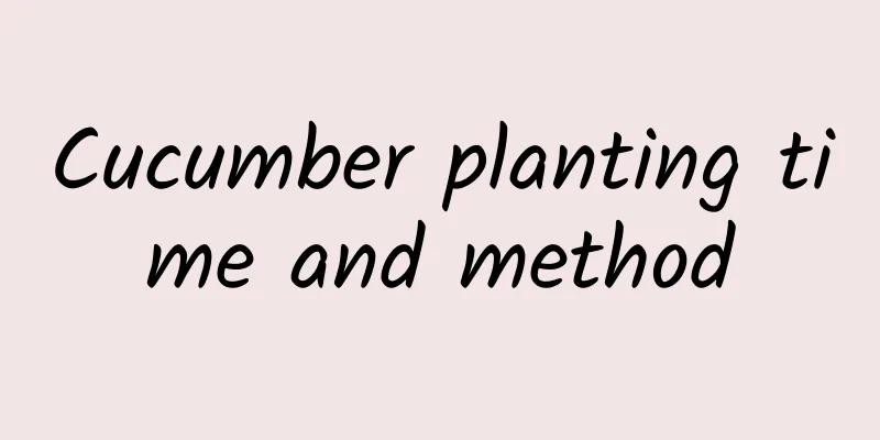 Cucumber planting time and method