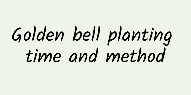 Golden bell planting time and method