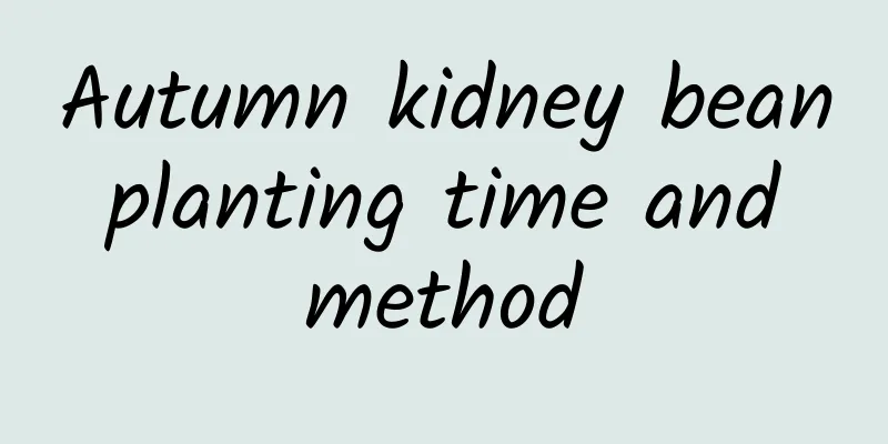 Autumn kidney bean planting time and method