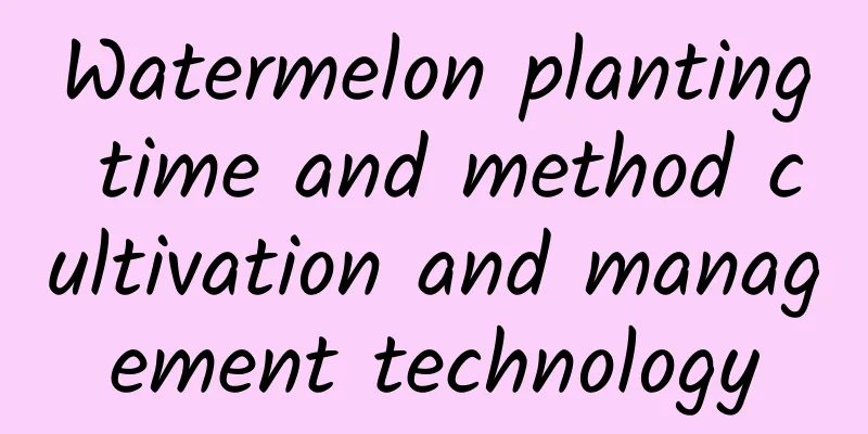 Watermelon planting time and method cultivation and management technology