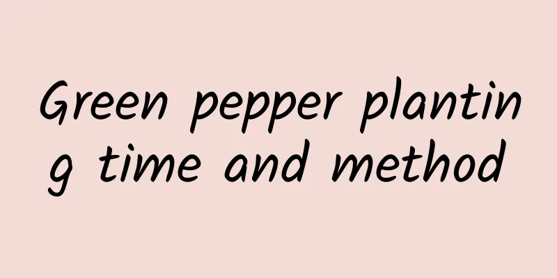 Green pepper planting time and method
