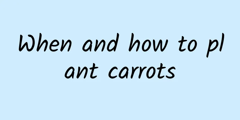 When and how to plant carrots