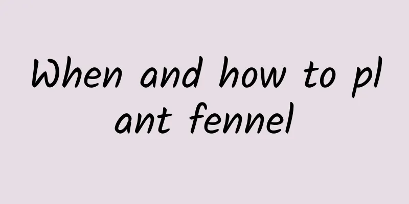 When and how to plant fennel
