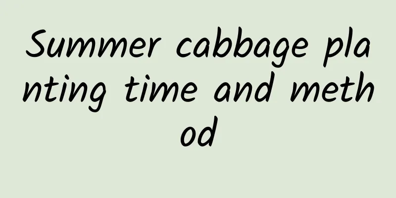 Summer cabbage planting time and method