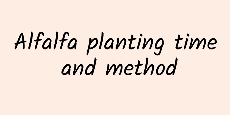 Alfalfa planting time and method