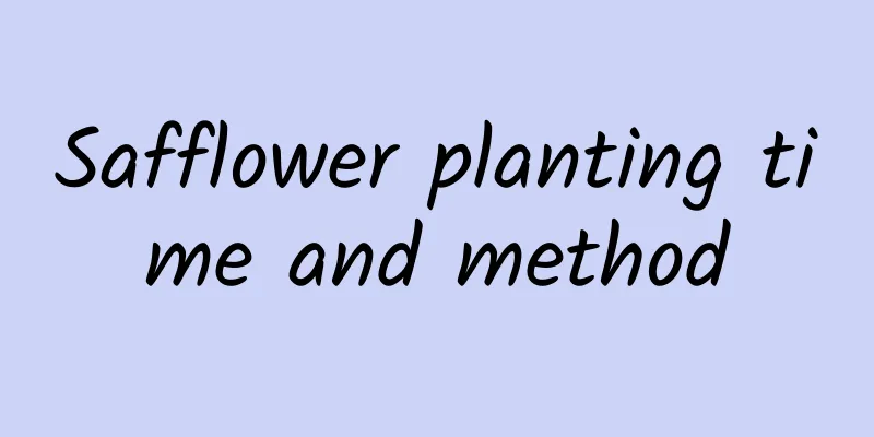 Safflower planting time and method