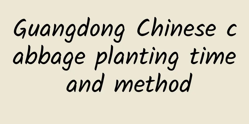 Guangdong Chinese cabbage planting time and method