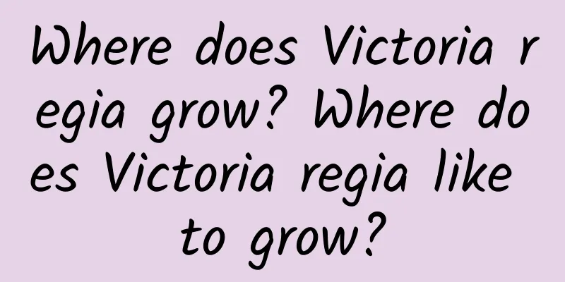 Where does Victoria regia grow? Where does Victoria regia like to grow?
