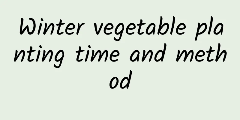 Winter vegetable planting time and method