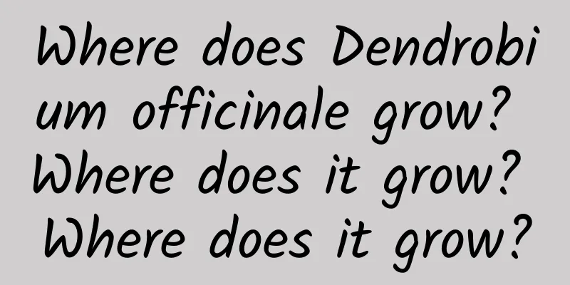 Where does Dendrobium officinale grow? Where does it grow? Where does it grow?