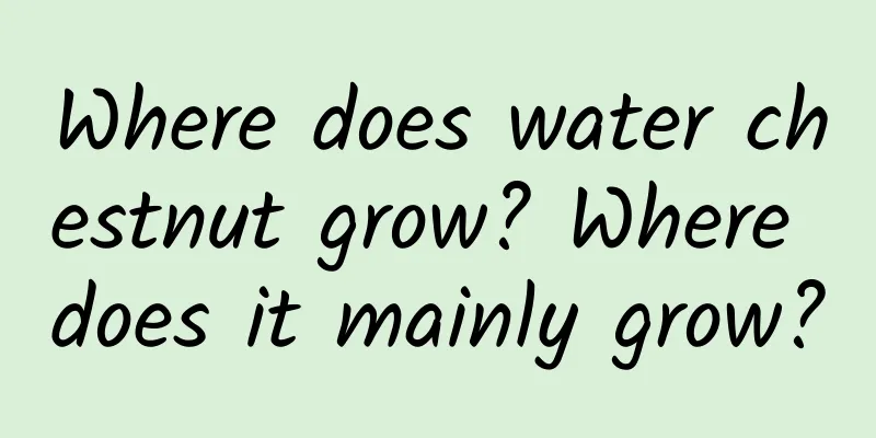 Where does water chestnut grow? Where does it mainly grow?