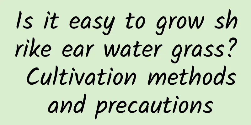 Is it easy to grow shrike ear water grass? Cultivation methods and precautions