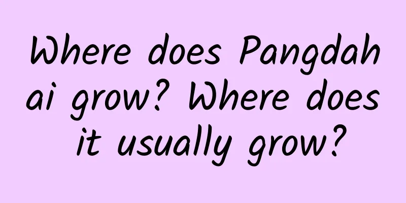 Where does Pangdahai grow? Where does it usually grow?