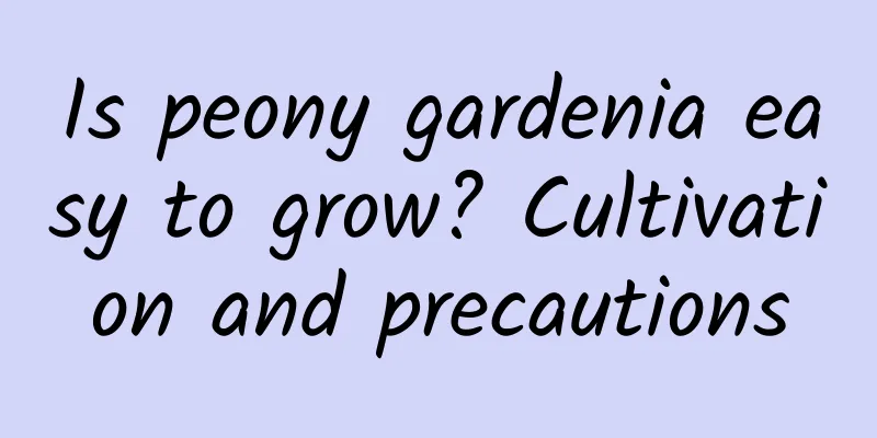 Is peony gardenia easy to grow? Cultivation and precautions