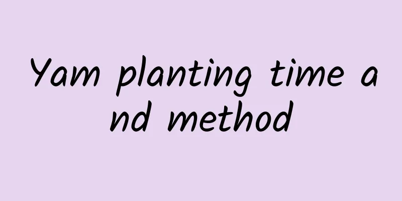 Yam planting time and method