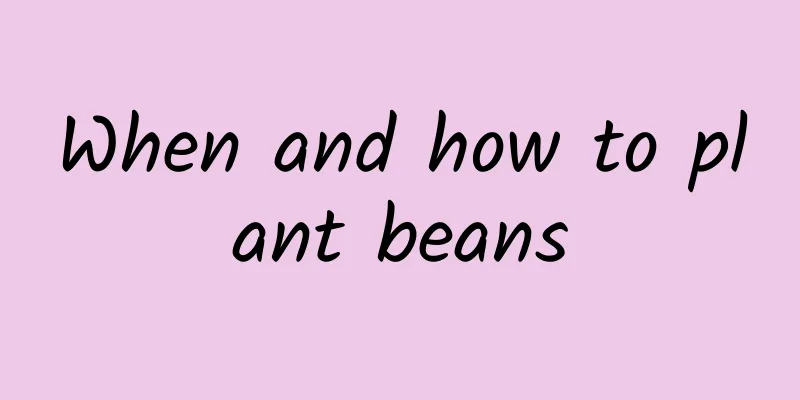 When and how to plant beans