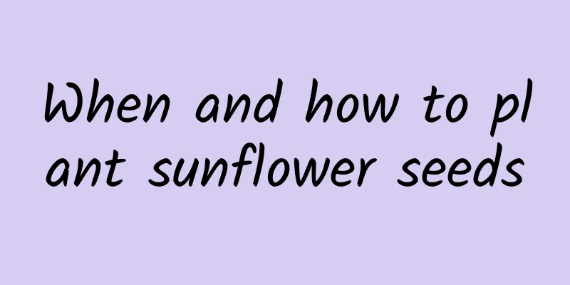 When and how to plant sunflower seeds