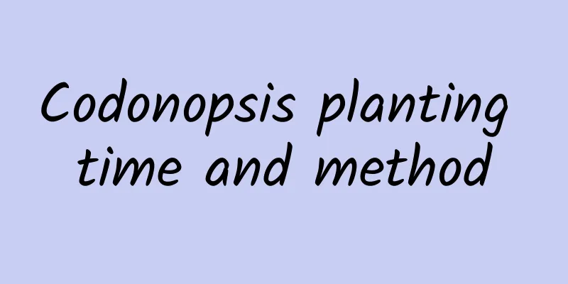 Codonopsis planting time and method