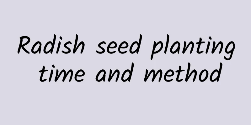 Radish seed planting time and method