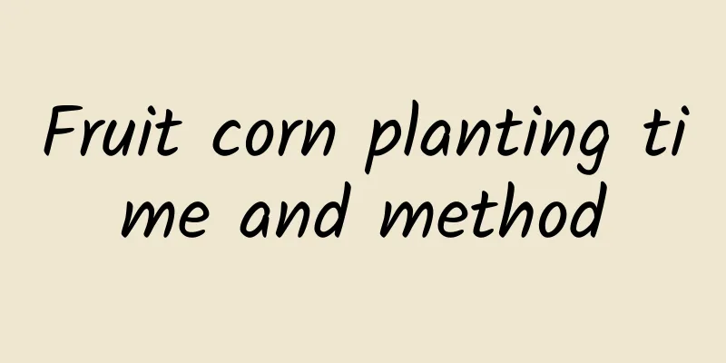 Fruit corn planting time and method