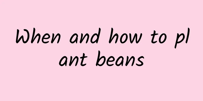 When and how to plant beans