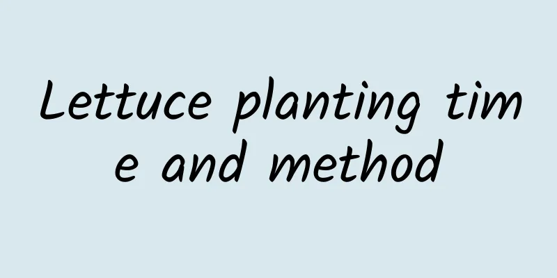 Lettuce planting time and method