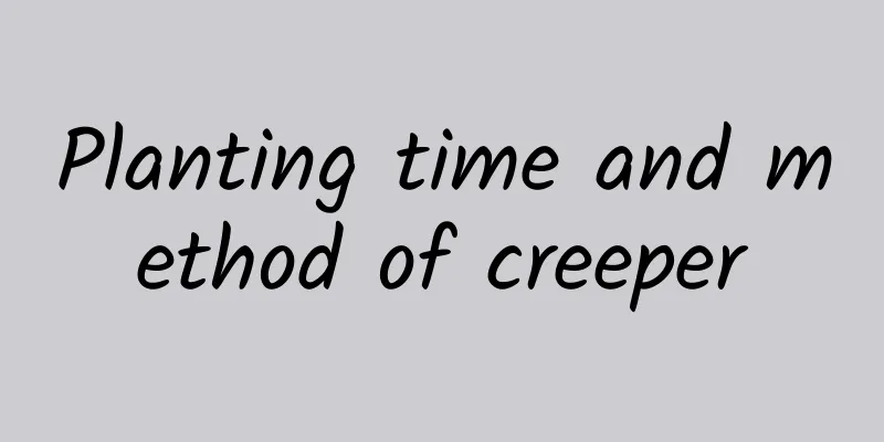 Planting time and method of creeper