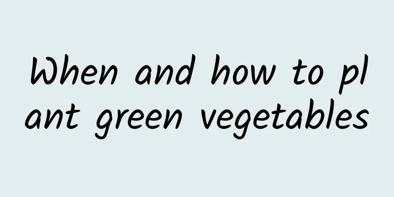 When and how to plant green vegetables