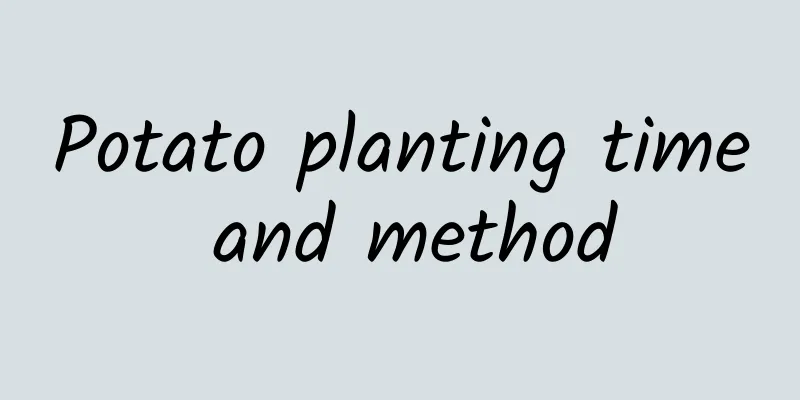 Potato planting time and method