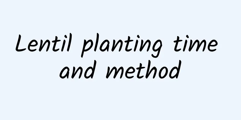 Lentil planting time and method