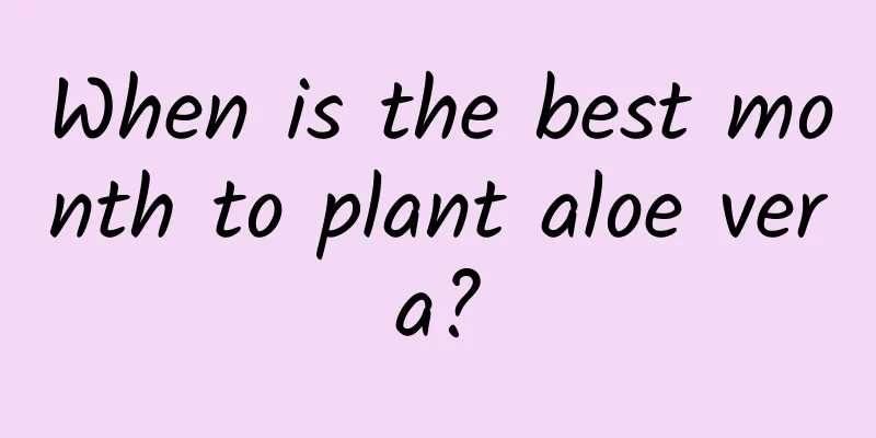 When is the best month to plant aloe vera?