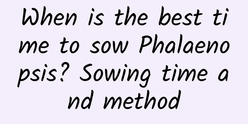 When is the best time to sow Phalaenopsis? Sowing time and method