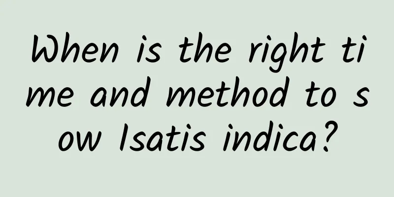 When is the right time and method to sow Isatis indica?