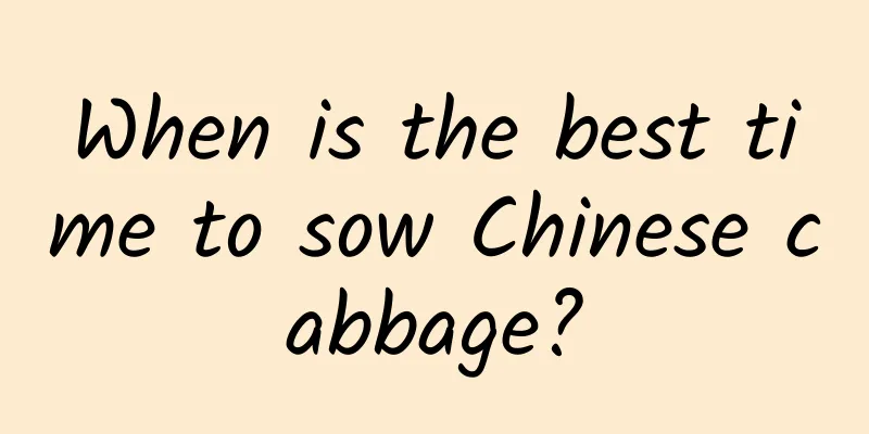 When is the best time to sow Chinese cabbage?