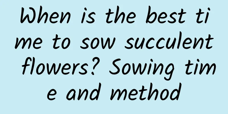 When is the best time to sow succulent flowers? Sowing time and method